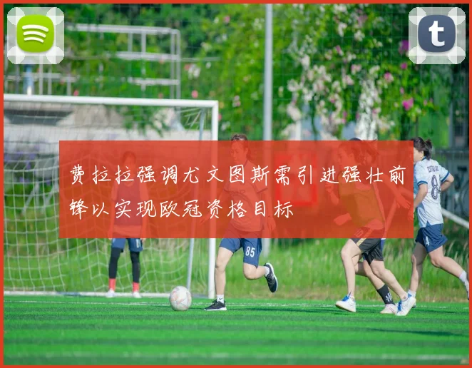 费拉拉强调尤文图斯需引进强壮前锋以实现欧冠资格目标