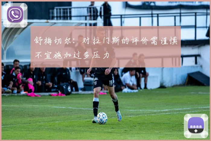 舒梅切尔：对拉门斯的评价需谨慎不宜施加过多压力